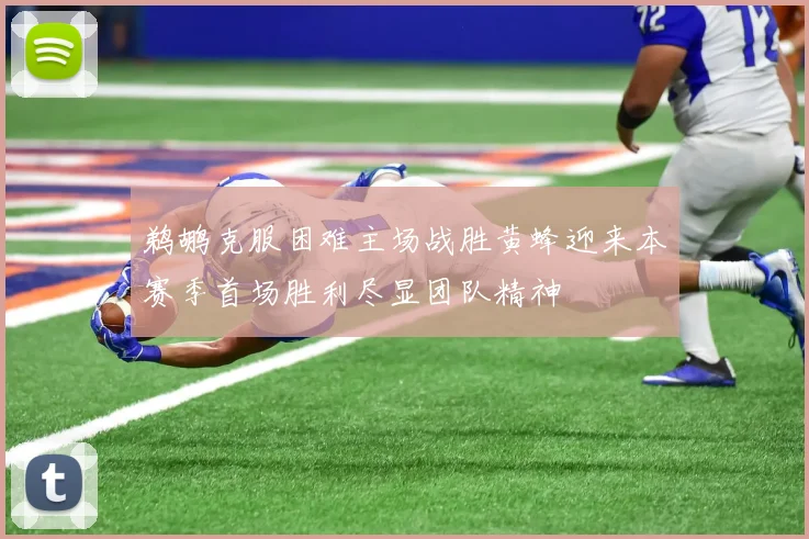 鹈鹕克服困难主场战胜黄蜂迎来本赛季首场胜利尽显团队精神