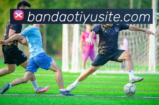 多媒体互动体验